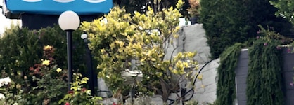 Blu Pacific Hotel