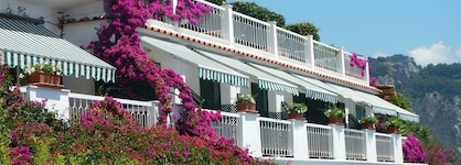 Hotel Bellevue Suite
