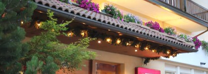 Hotel Villa Rosa