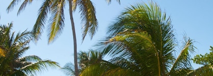 Caribbean Villas Hotel