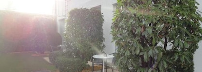 City Hotel Albrecht