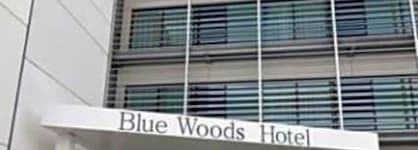 Blue Woods Hotel