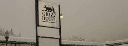 Grizz Hotel