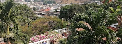 Iguanazu Bed & Breakfast