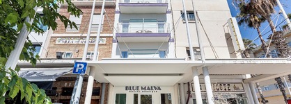 Blue Malva