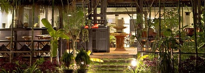 The Oasis Harbor