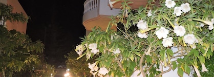 Golden Rose Suites
