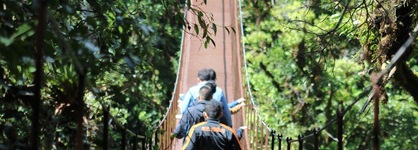 Tree Trek Boquete Adventure Park