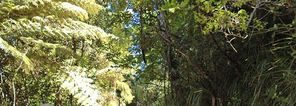 Waitakere Resort & Spa