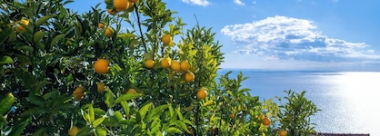 Locanda Degli Agrumi