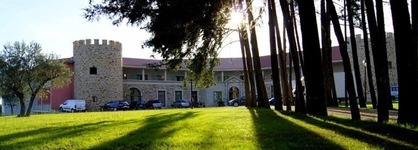 Palace Hotel & Spa Termas De S. Tiago