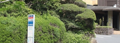 Mount View Hakone