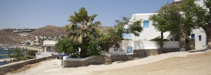 Asimina