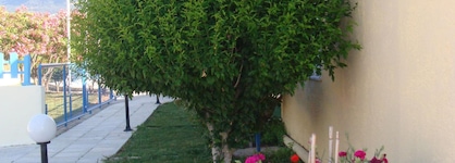 Oasis Tigaki