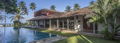 The Frangipani Tree By Edwards Collection