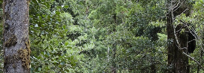 Savegre Hotel Natural Reserve & Spa