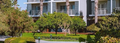 Barut Goia