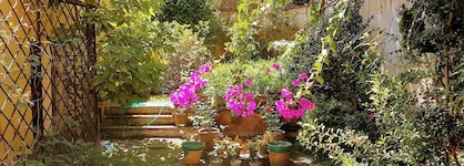 Casa Carmel Bed And Breakfast
