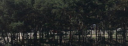 Hotel Hostynnist