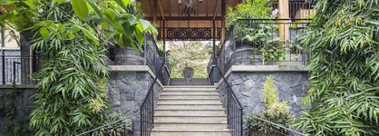 Bodhi Tree Yoga Resort