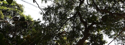 Baan Suan Residence