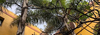 Riad Soleil D'orient