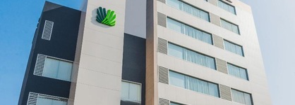 Palmetto Hotel Business San Miguel
