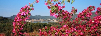Hotel Marina 2