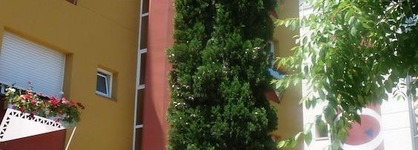 Hotel Ribes Roges