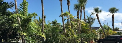 Palm Tree Villas