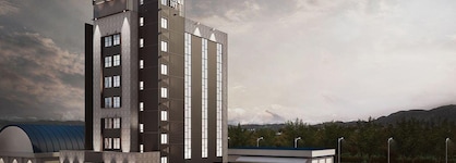 Brown Dot Hotel