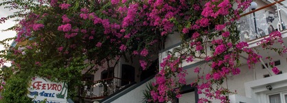Fevro Hotel
