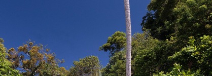 Arenas del Mar Beachfront & Rainforest Resort