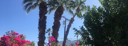 Inn At Palm Springs