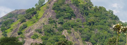 Jetwing Lake