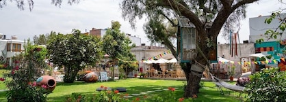 Selina Arequipa