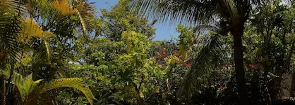Domus Villas De Luxo