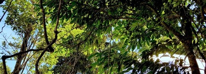 Chira Glamping Resort Monteverde
