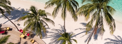 Reethi Faru Resort