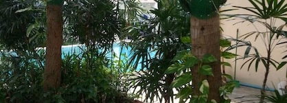 Paradise Park