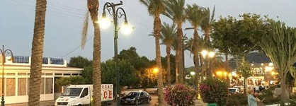 Bivalvia Beach Plus