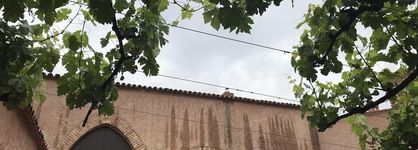 Terra Dominicata - Hotel & Winery