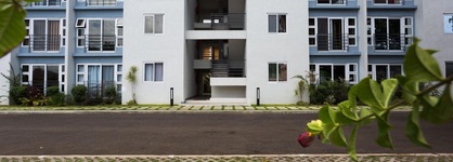 Kingston Luxury Guest Apt At Sullivan