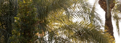 Hotel Boutique Hort De Nal