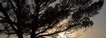 Menorca Experimental