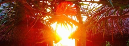 Zanzibar Sunrise At Bandas