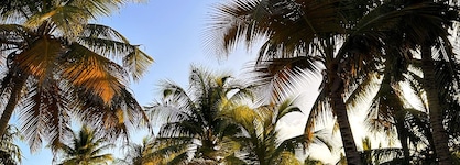 Alito Tulum Hotel