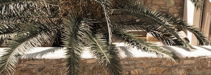 Asty Mykonos Hotel & Spa -World Of One Hotel Group