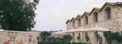 Ruins Luxury Resort