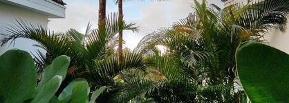 Bahala Na Villas